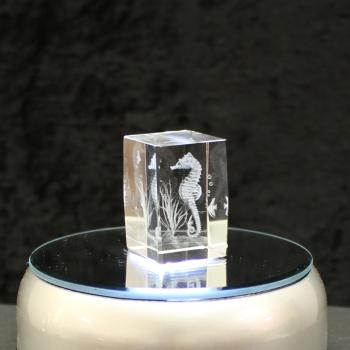 3D-Glas-Cube-Seepferdchen, versch. Größen