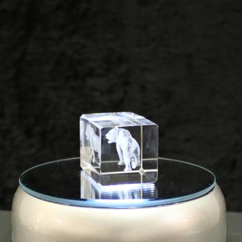 3D-Glas-Cube-Tiger, versch. Größen