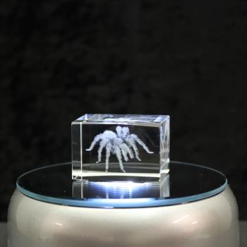 3D-Glas-Cube-Vogelspinne, versch. Größen