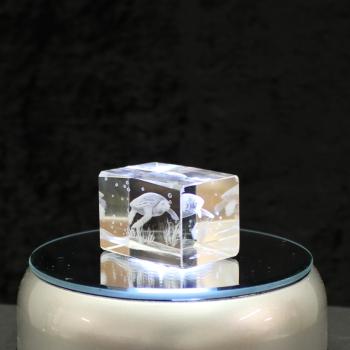 3D-Glas-Cube-Wasserschildkröte, versch. Größen