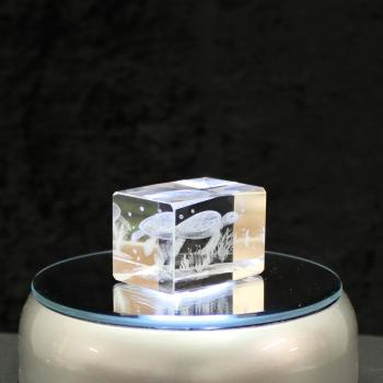 3D-Glas-Cube-Wasserschildkröte, versch. Größen
