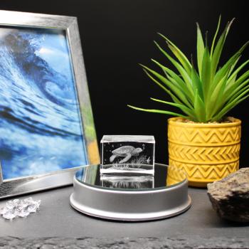 3D-Glas-Cube-Wasserschildkröte, versch. Größen