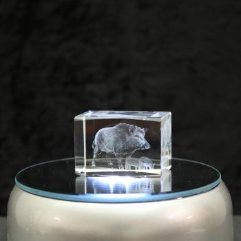 3D-Glas-Cube-Wildschwein, versch. Größen