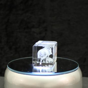 3D-Glas-Cube-Wildschwein, versch. Größen