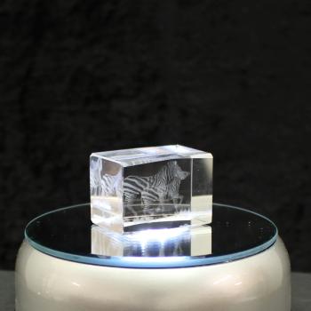 3D-Glas-Cube-Zebra mit Fohlen, versch. Größen