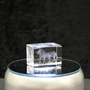 3D-Glas-Cube-Zebra mit Fohlen, versch. Größen