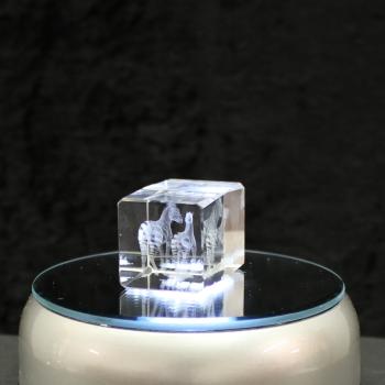 3D-Glas-Cube-Zebra mit Fohlen, versch. Größen