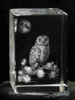 Barn Owl