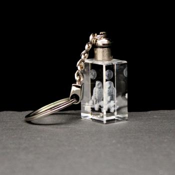 LED-Cube-Eule