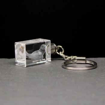 LED-Cube-Robbenmaskotchen