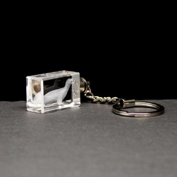 LED-Cube-Robbe
