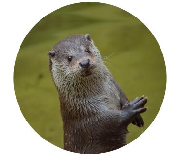 Glas Magnet- Otter