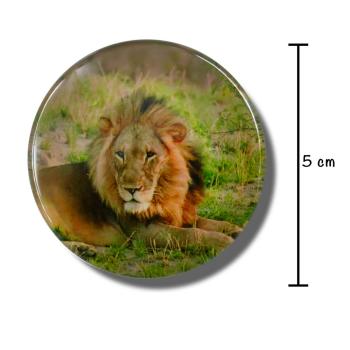 Glas Magnet- Zoo Tiere