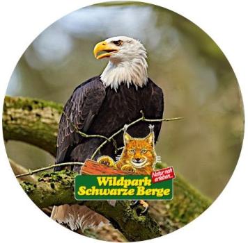 Glas Magnet- Adler Logo Schwarze Berge