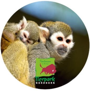 Glas Magnet- Affen Tierpark Nordhorn