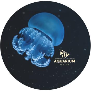 Glas Magnet- Qualle, Zoo Berlin mit Logo Aquarium