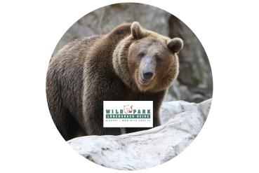 Glas Magnet- Bär, Lüneburger Heide