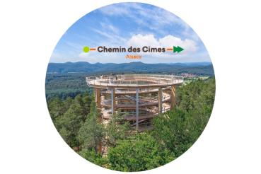 Glas Magnet- Baumwipfelpfad Drachenbronn mit Logo