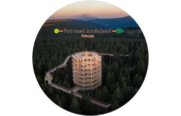 Glas Magnet- Baumwipfelpfad Pohorje mit Logo