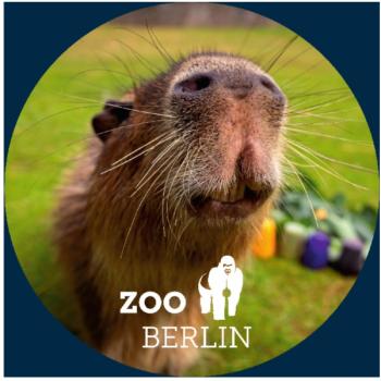 Glas Magnet- Capybara mit Logo Zoo Berlin