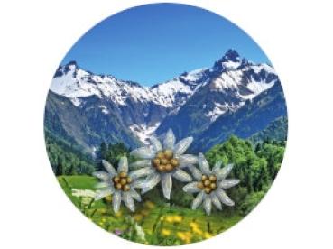 Glas Magnet- Edelweiss auf Landschaft