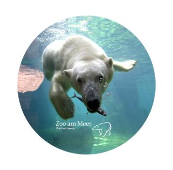 Glas Magnet- Eisbär m. Logo Zoo am Meer
