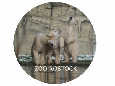 Glas Magnet-Eisbären mit SZ Zoo Rostock
