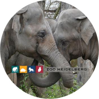 Glas Magnet- Elefanten Zoo Heidelberg