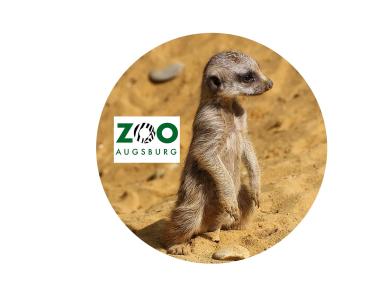 Glas Magnet- Erdmännchen Zoo Augsburg