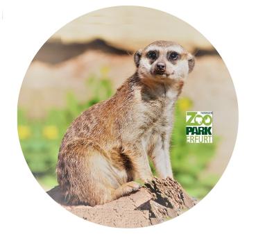 Glas Magnet- Erdmännchen Logo Zoo Erfurt
