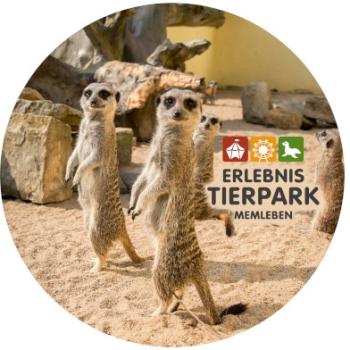 Glas Magnet- Erdmännchen Tierpark Memleben