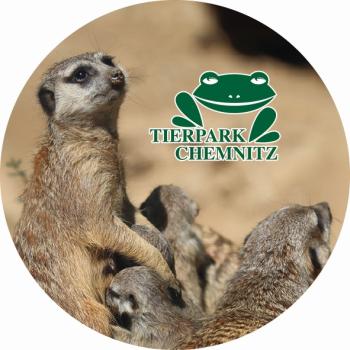Glas Magnet- Erdmännchen Tierpark Chemnitz