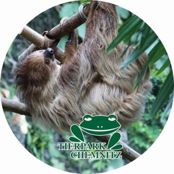 Glas Magnet- Faultier Tierpark Chemnitz