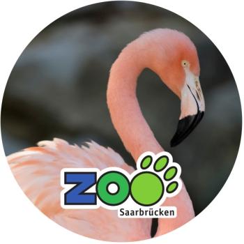 Glas Magnet- Flamingo Zoo Saarbrücken