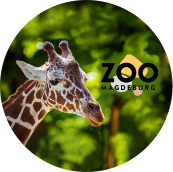 Glas Magnet- Giraffe Logo Zoo Magdeburg