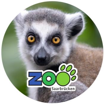 Glas Magnet- Katta Zoo Saarbrücken