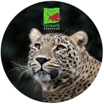 Strong, colorful, round glass magnets, motif Leopard Tierpark Nordhorn