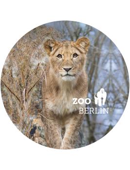 Strong, colorful, round glass magnets, motif Lion, Berlin Zoo with logo