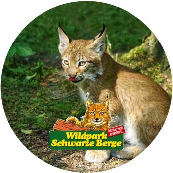 Strong, colorful, round glass magnets, motif Lynx Logo Schwarze Berge
