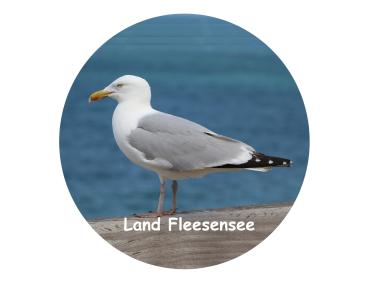 Glas Magnet- Möwe Logo Fleesensee