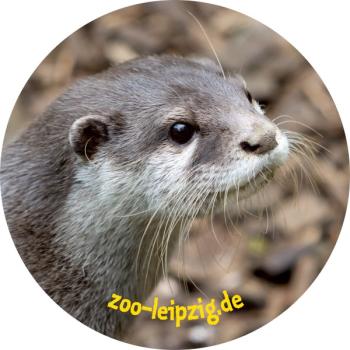 Glas Magnet- Otter Zoo Leipzig