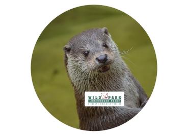 Glas Magnet- Otter mit Logo Lüneburger Heide