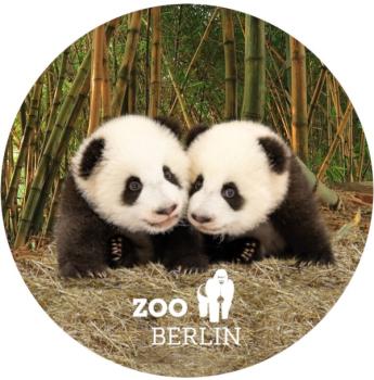 Glas Magnet- Panda Zwillinge mit Logo Zoo Berlin