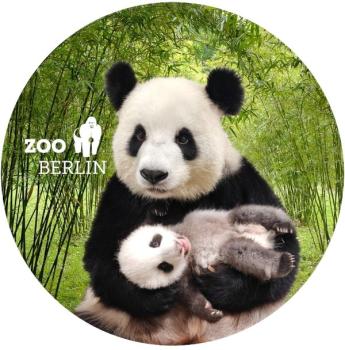Glas Magnet- Panda mit Baby mit Logo Zoo Berlin