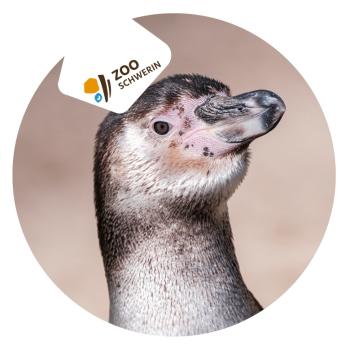 Glas Magnet- Pinguin Logo Zoo Schwerin