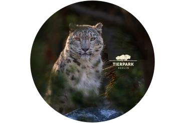 Glas Magnet- Schneeleopard, Tierpark Berlin mit Logo