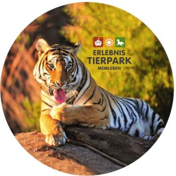 Glas Magnet- Tiger Tierpark Memleben