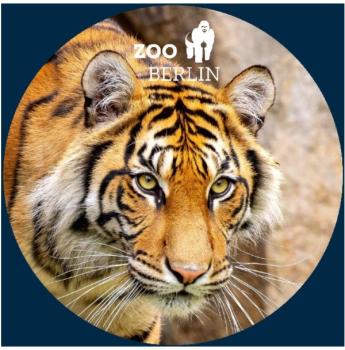 Glas Magnet- Tiger mit Logo Zoo Berlin