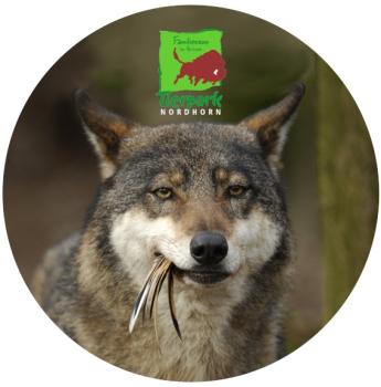 Glas Magnet- Seehund Tierpark Nordhorn