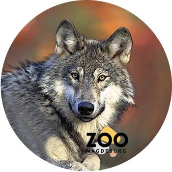 Glas Magnet- Wolf Zoo Magdeburg